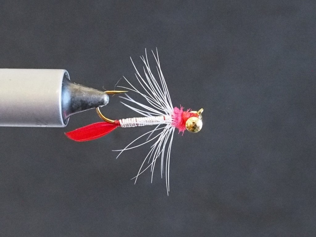 Shad Fly Shad on the Fly