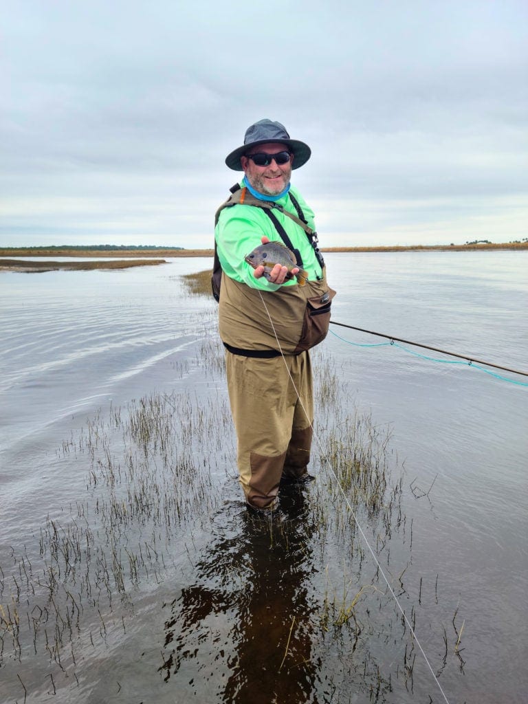 Shad on the Fly a site dedicated to fly fishing for shad