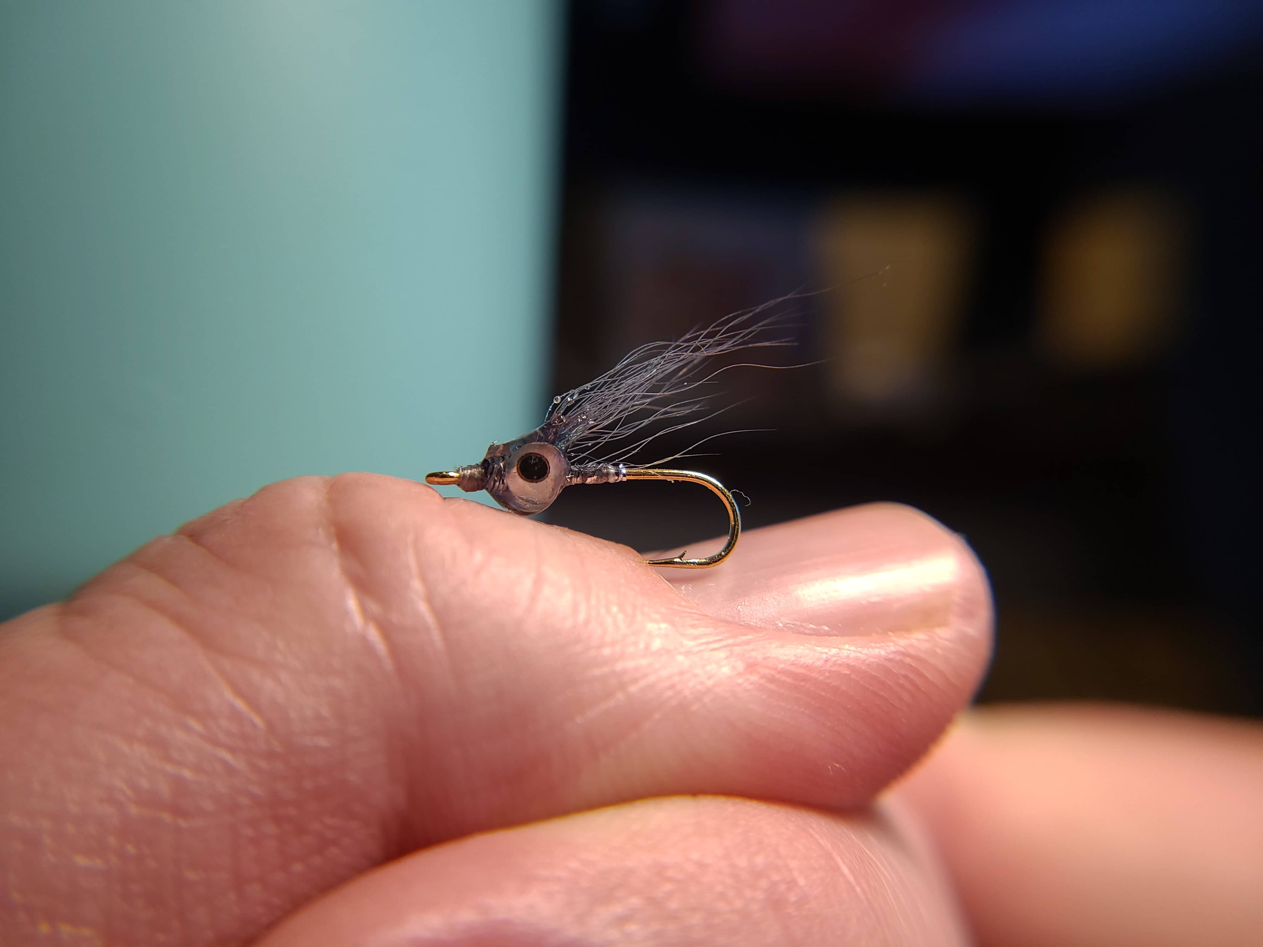 Shad on the Fly a site dedicated to fly fishing for shad