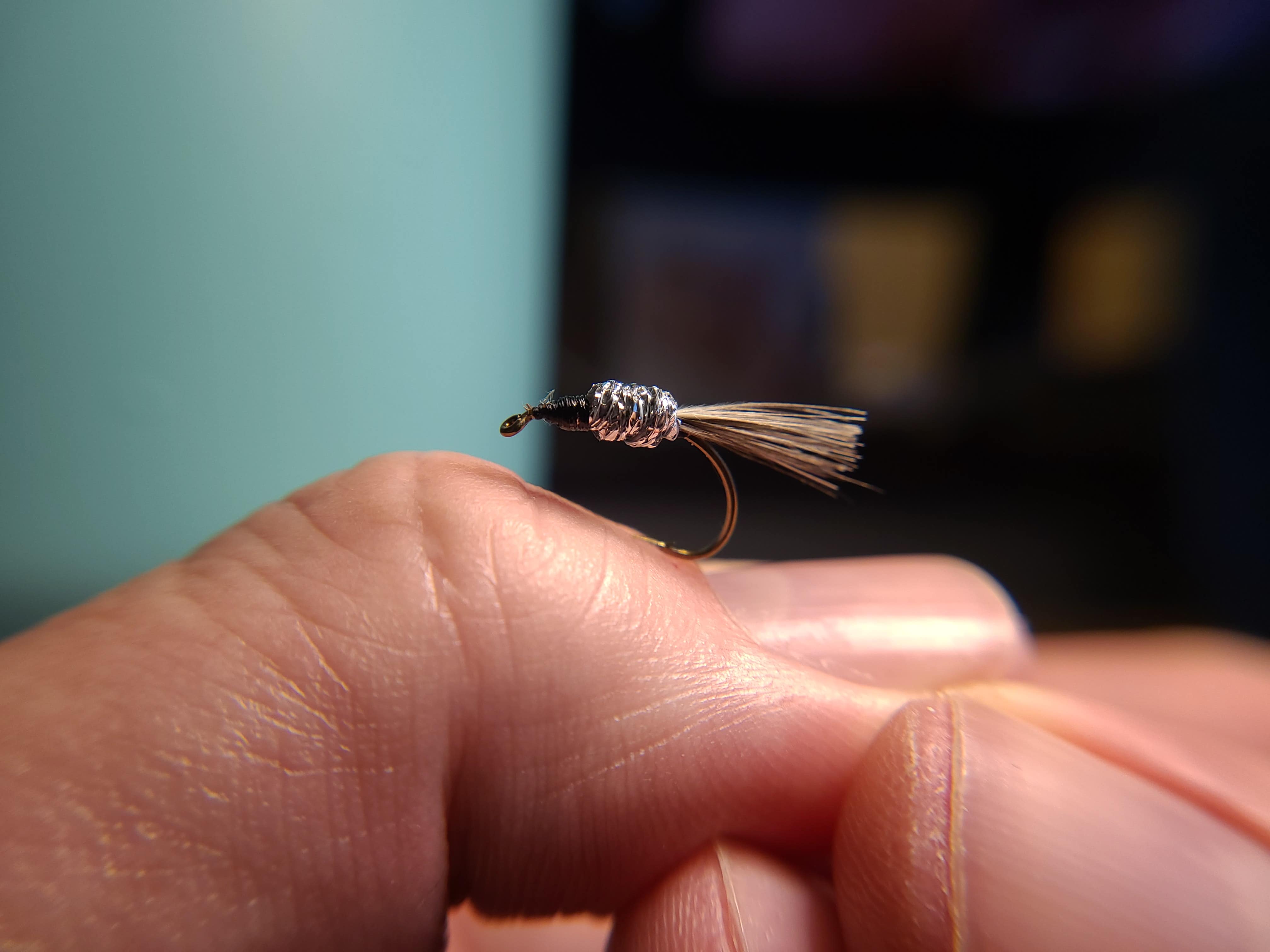 Shad on the Fly a site dedicated to fly fishing for shad