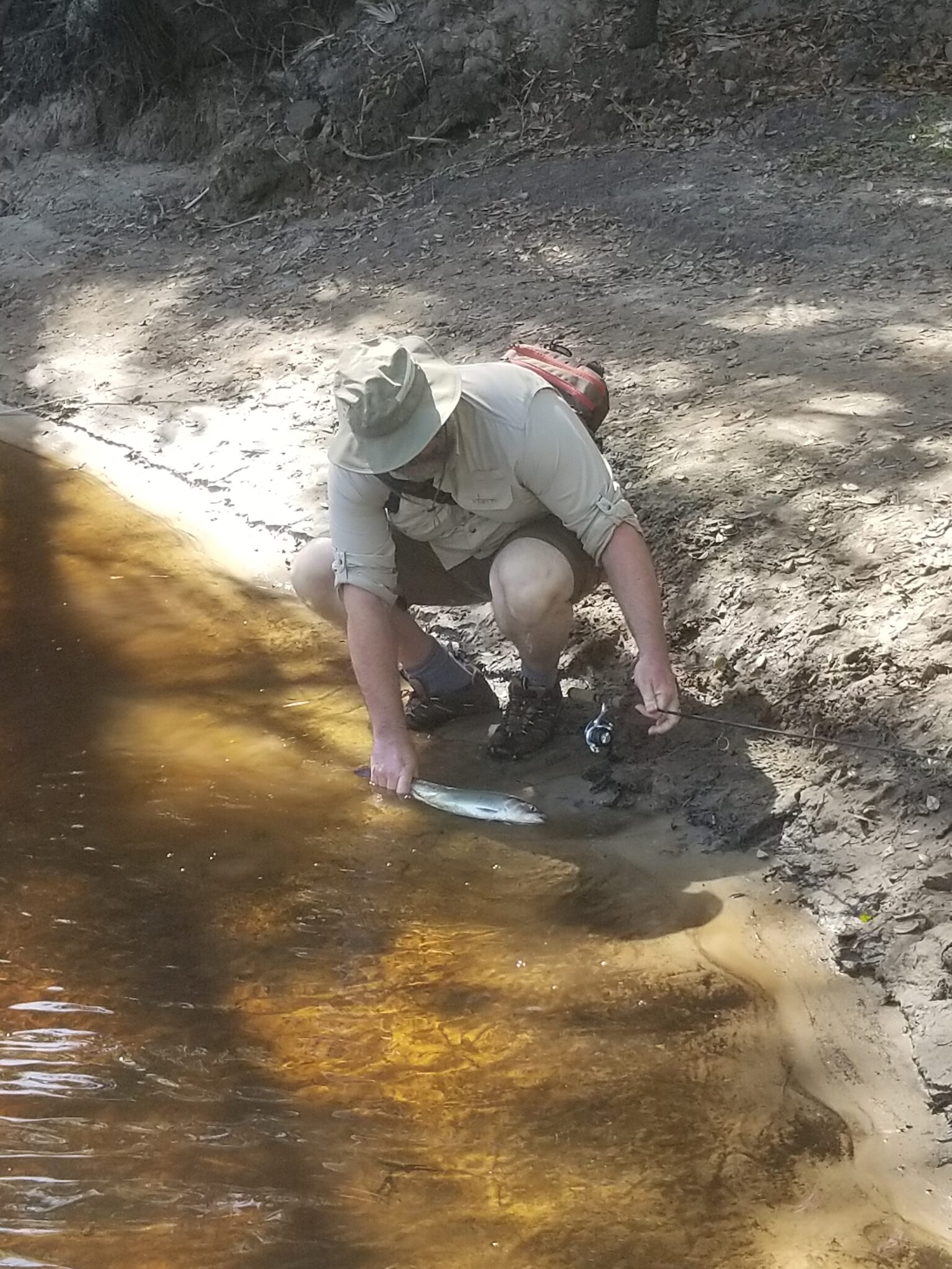 Shad on the Fly a site dedicated to fly fishing for shad