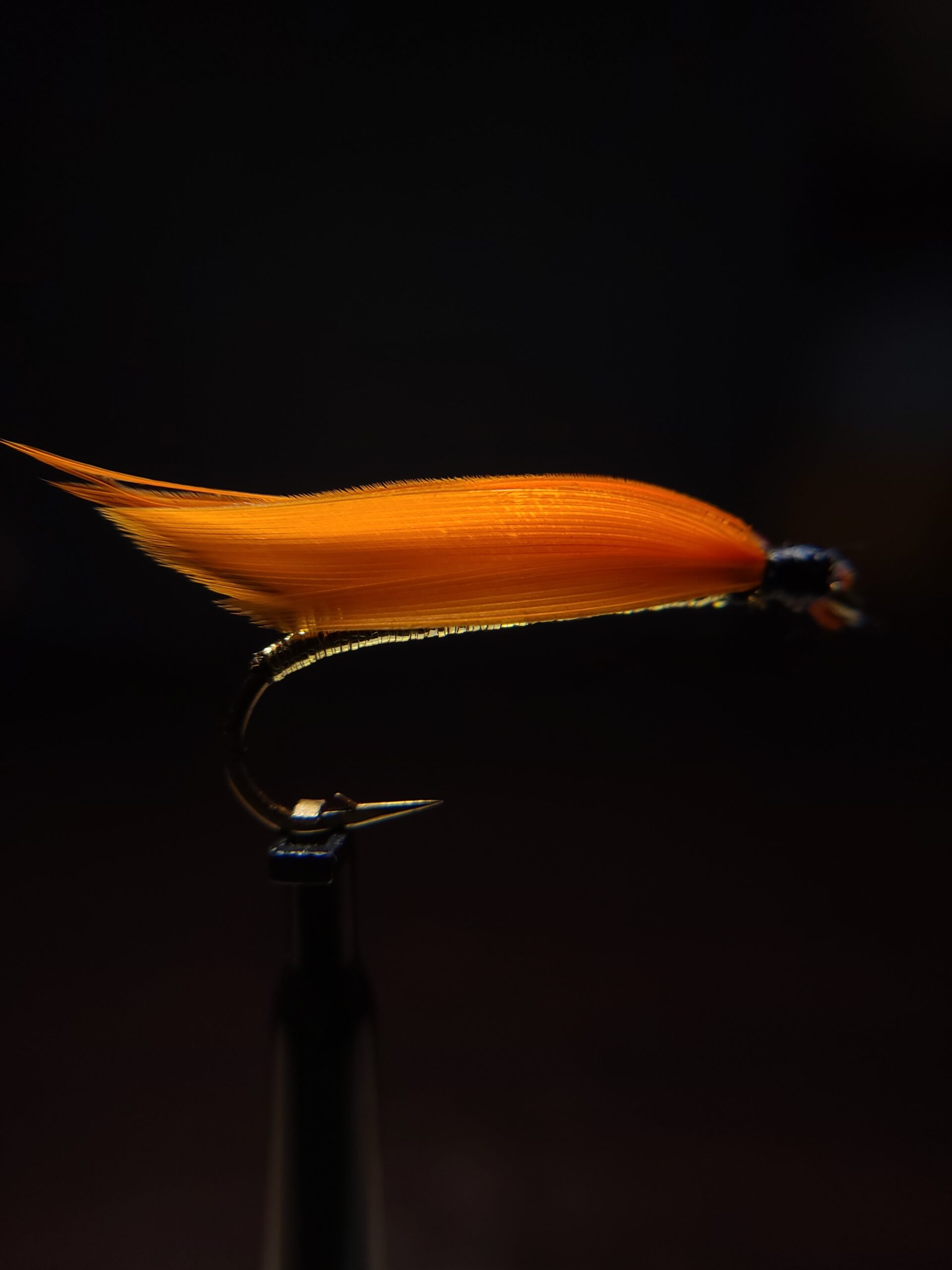 Connecticut River Shad Fly Pattern #2