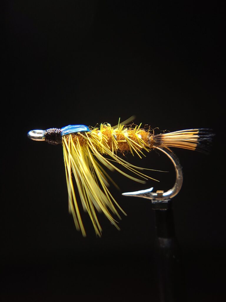 Massachusetts Shad Fly