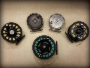 Fly Reels for Shad