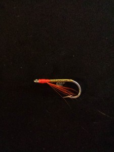 Connecticut River Shad Fly- Variation #4