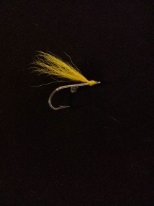 Enfield Shad Fly