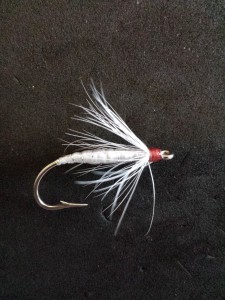 Cole Wilde's Shad Fly Variation