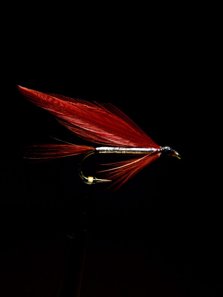 Maryland Shad Fly #1