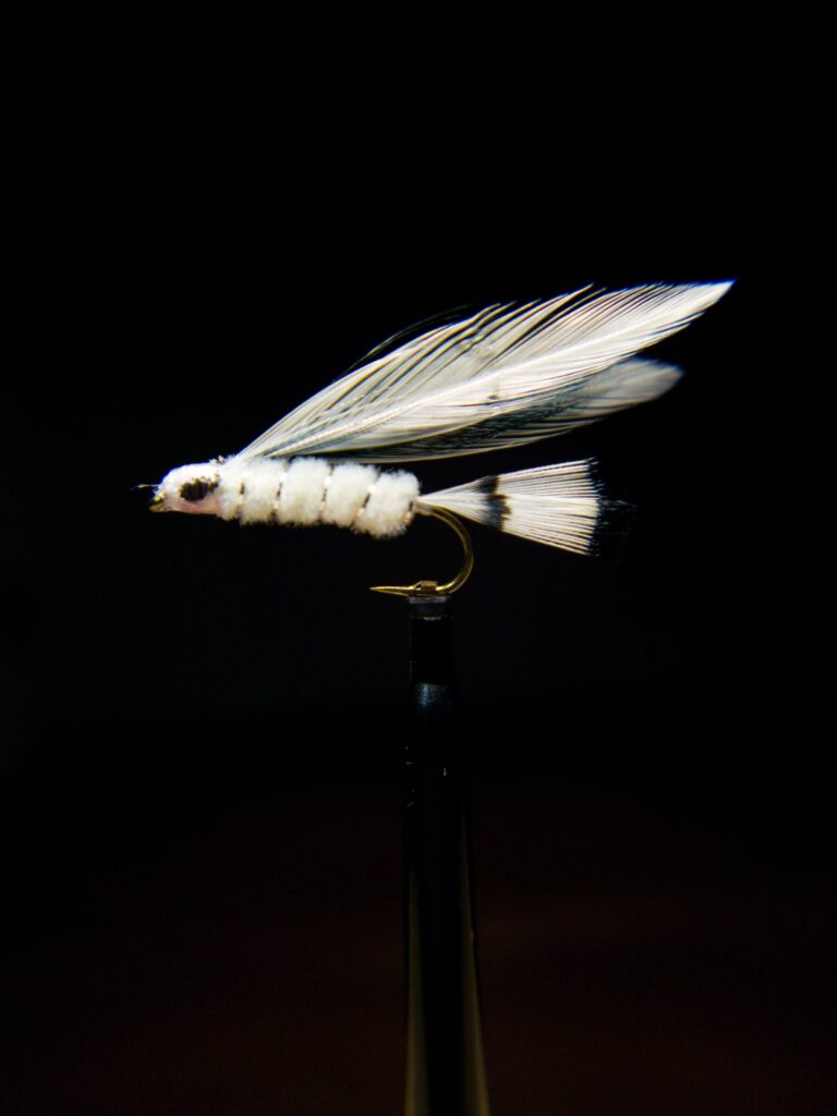 Maryland Shad Fly #3