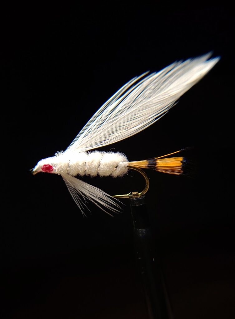 Maryland Shad Fly #2