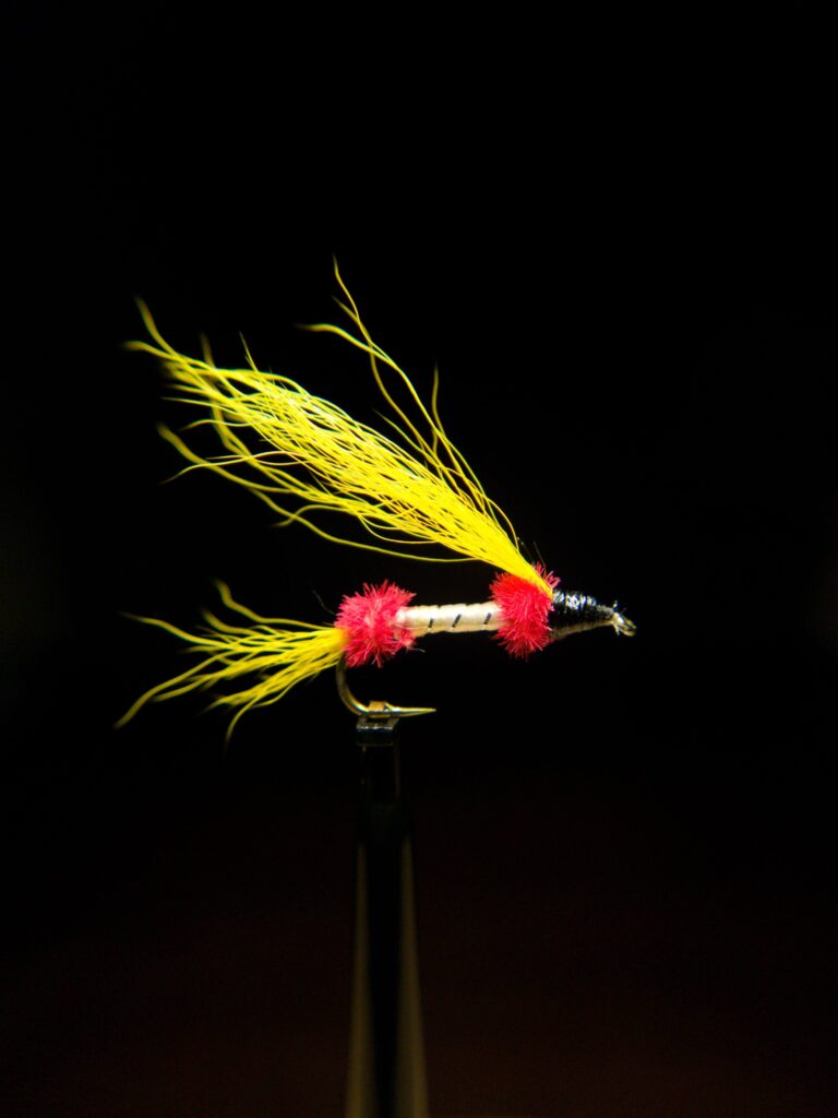 Royal Shad Fly Pattern