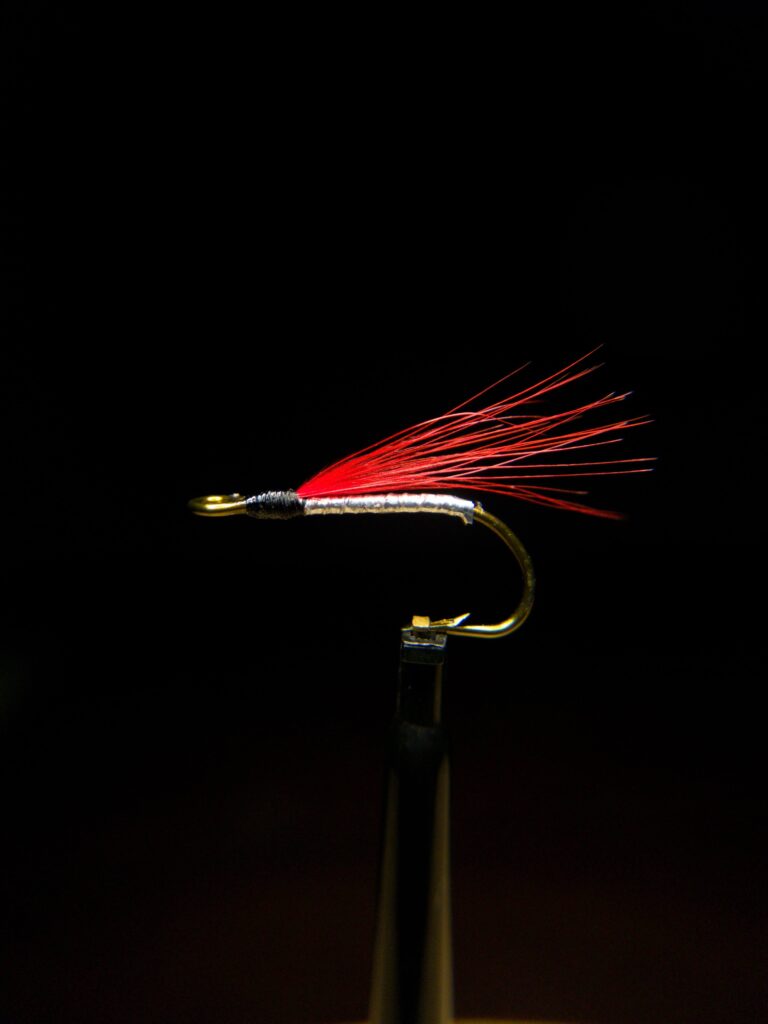 Silver Yank Shad Fly Pattern