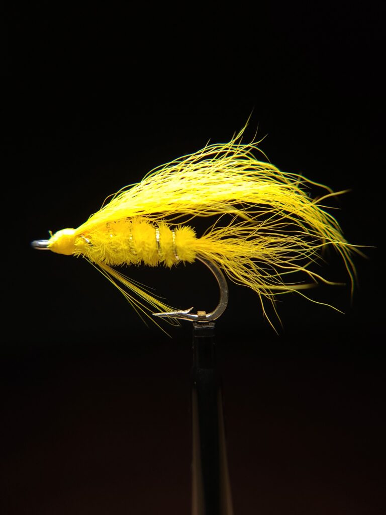 California Shad Fly #2