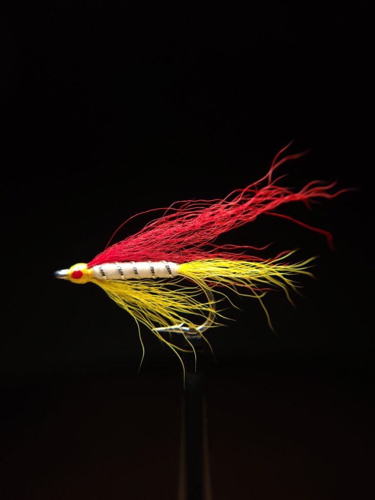 California Shad Fly #4