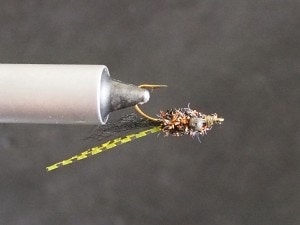 St Johns River Grass Shrimp Fly Pattern
