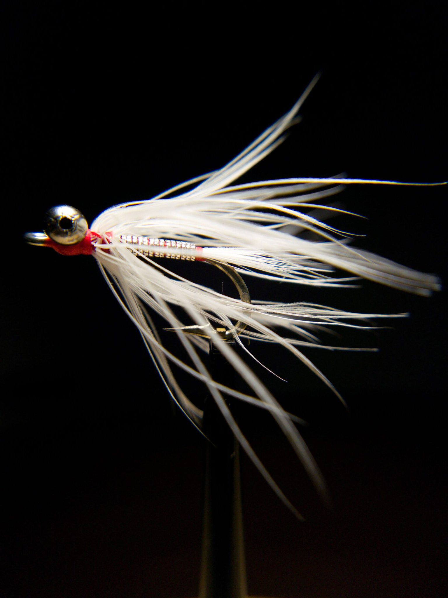 California Shad Fly #11 - Shad on the Fly