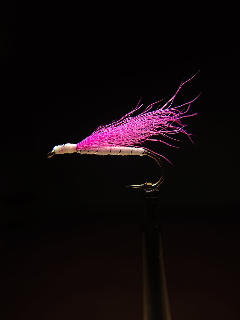 Shad Queen Fly Pattern