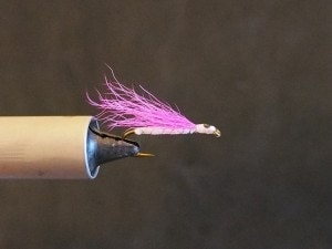 Shad Queen Fly Pattern
