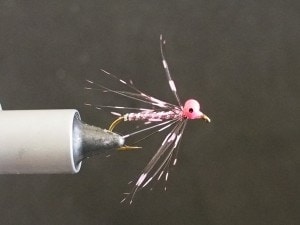 Soft Hackle Shad Fly in the vice