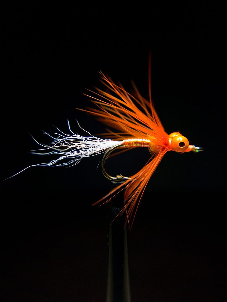 Shad Comet Fly Pattern