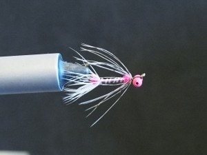 The Shad Intruder Fly in a tying vice