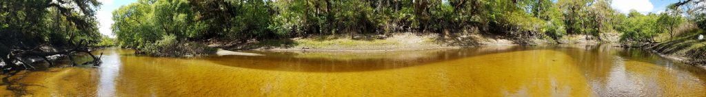 Gorgeous panorama of clear water and sandy bottom on the Econlockhatchee River near Snowhill Road