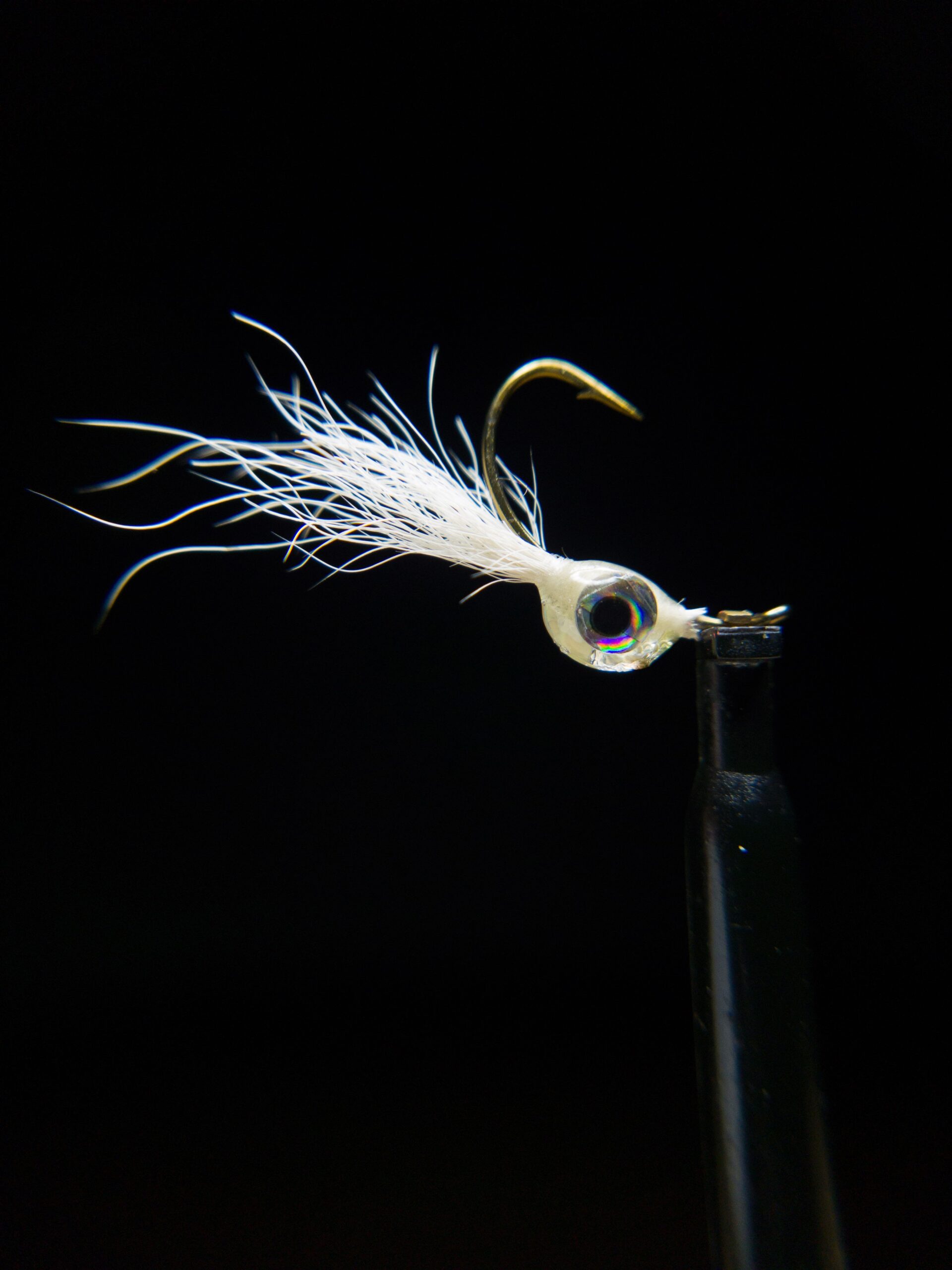 Fry Fly - Shad on the Fly