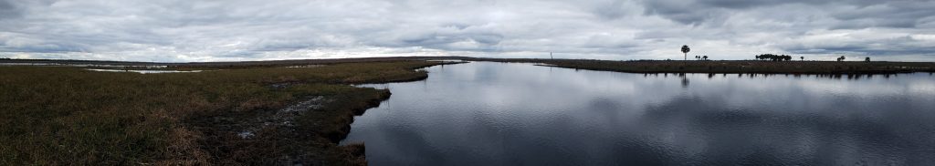 Beautiful panorama of the Canaveral Marshes Conservation Area near 7 Palms