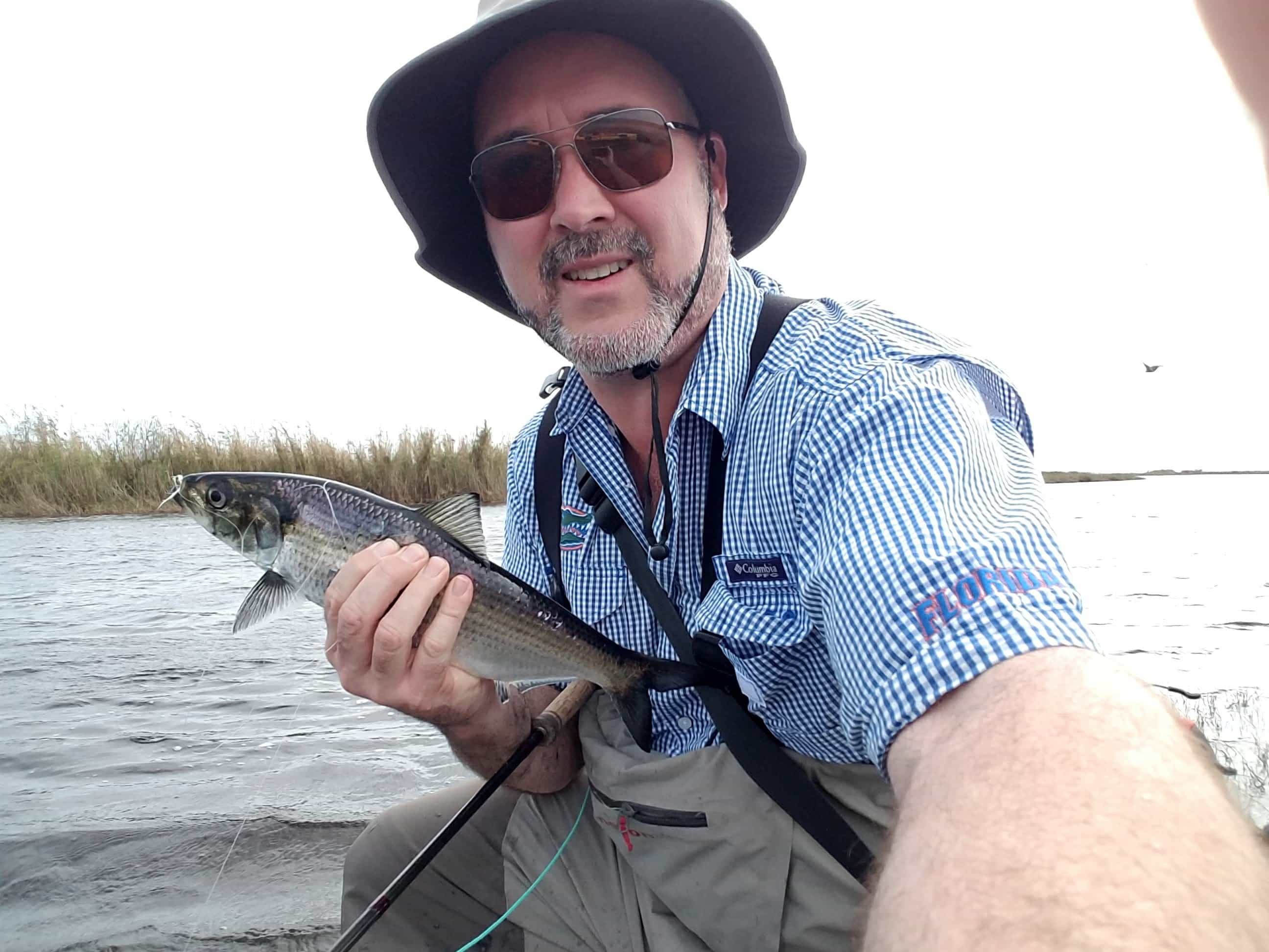 picture holding shad caught on fly
