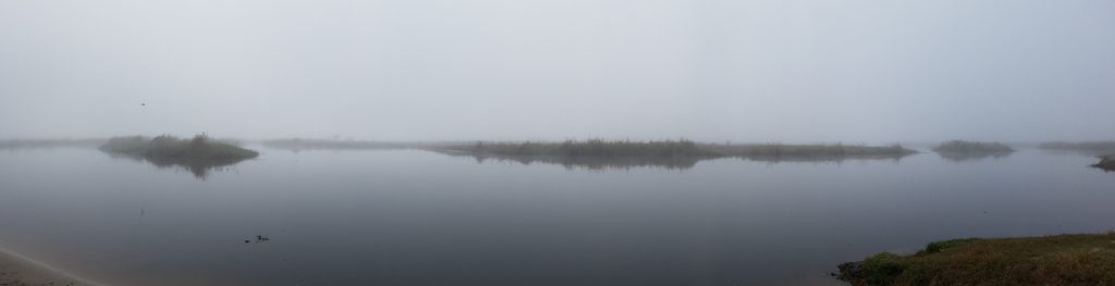 Misty Panorama of the St. Johns River near Hatbill Road