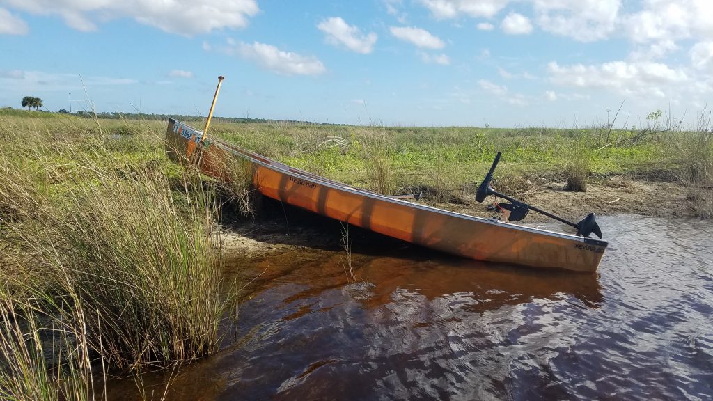 canoe with trolling motor beached with paddle