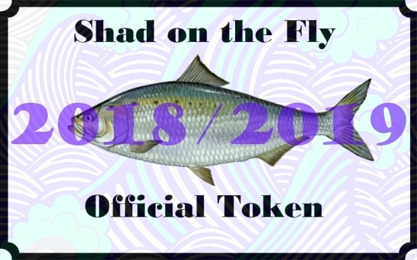 First Shad of the Season Contest- 2018&2019