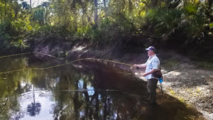 fly fishing for shad on the Econlockhatchee River