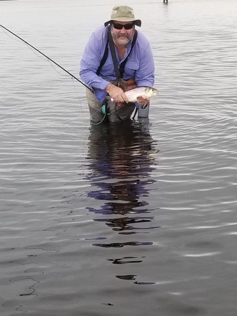 caught a shad on the fly