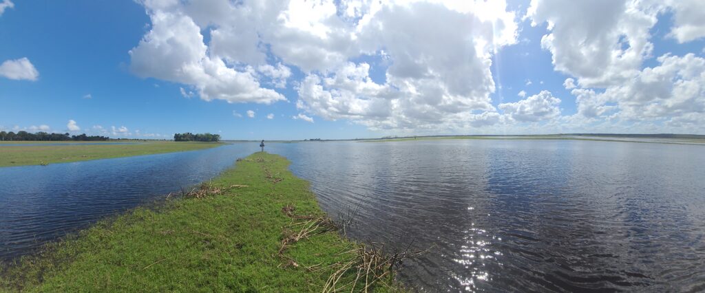 St. Johns River panorama with Paw Paw Mound in the Distance
