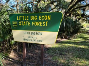 Little Big Econ State Forest