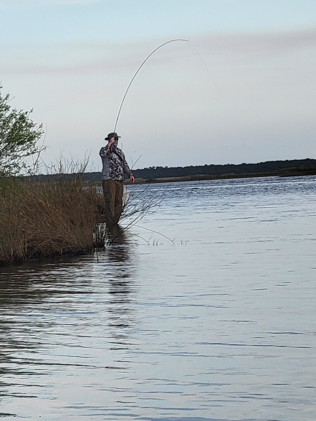 author with a shad on the line