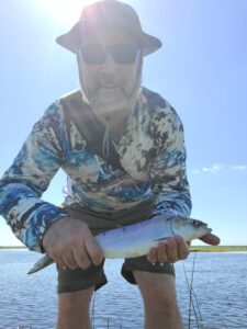 shad caught in Florida on St. Patrick's Day