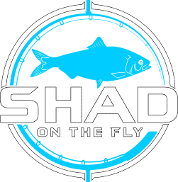 Shad on the Fly