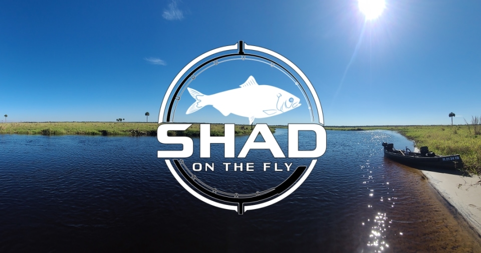 Shad on the Fly Banner