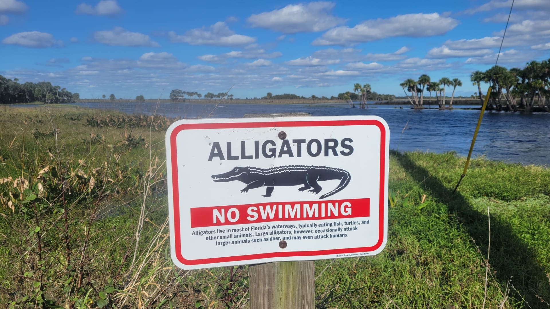 No Swimming- Alligators Occasionally attack Humans
