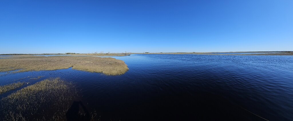 Panorama view of a river delta on the St. Johns with calm waters and marshland under a bright blue sky, perfect for shad fishing.