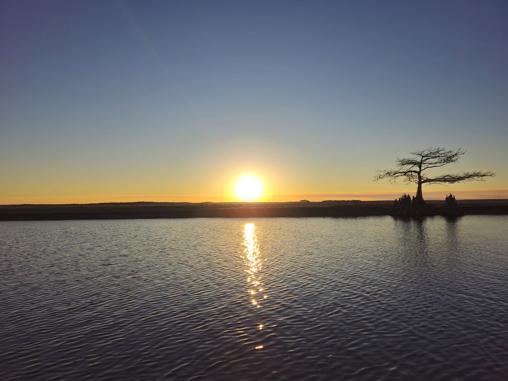 A tranquil sunset scene featuring a lone tree on a small island reflected in calm waters, perfect for fly fishing enthusiasts.