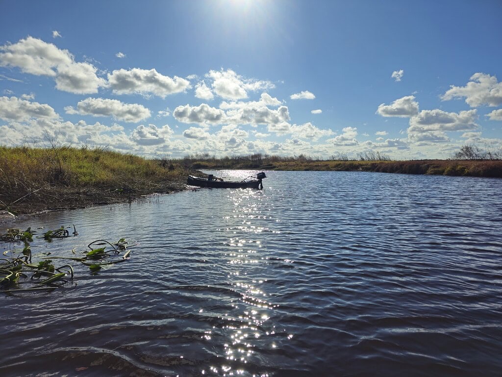 Beautiful scene of a canoe on the Econlockhatchee River under a bright blue sky with scattered clouds, perfect for American and Hickory Shad fly fishing.