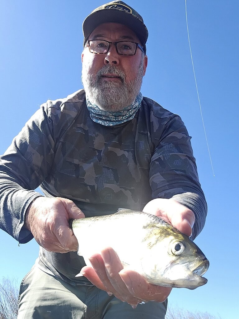Author with an American Shad