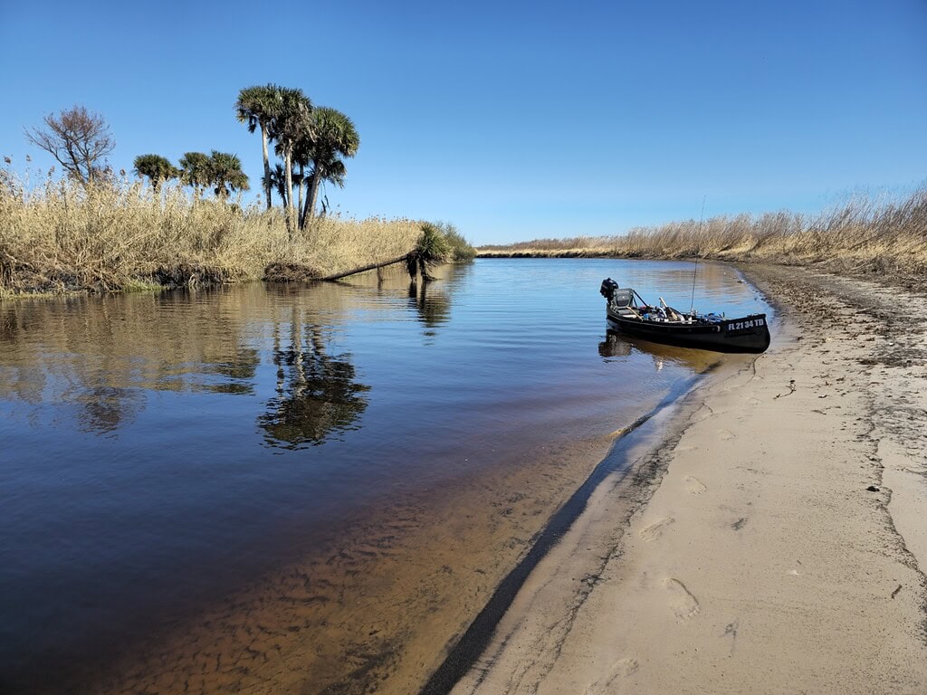 Sportspal and Downed Palm north of SR50