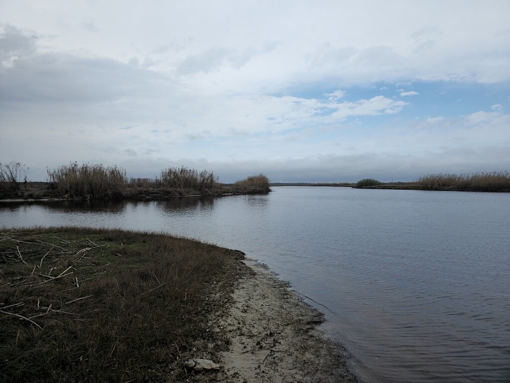Mouth of the Econlockhatchee